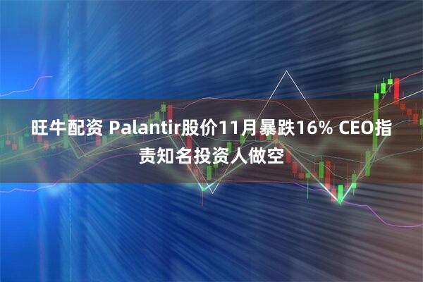 旺牛配资 Palantir股价11月暴跌16% CEO指责知名投资人做空