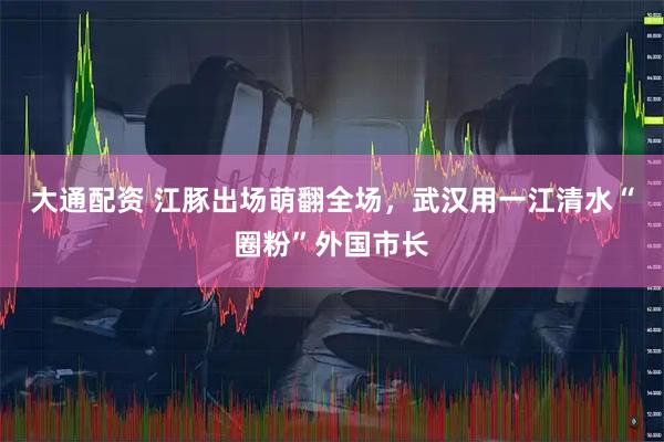 大通配资 江豚出场萌翻全场，武汉用一江清水“圈粉”外国市长