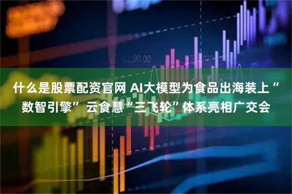 什么是股票配资官网 AI大模型为食品出海装上“数智引擎” 云食慧“三飞轮”体系亮相广交会